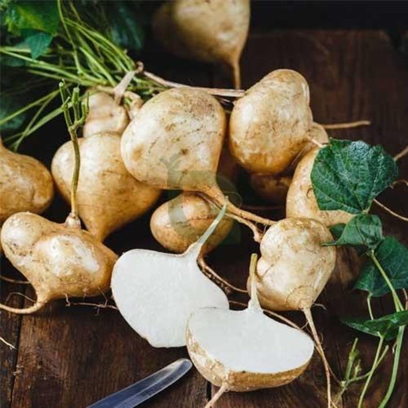 Pu&ograve; includere: Un gruppo di radici di jicama con buccia color marrone chiaro e steli verdi con foglie. Una radice &egrave; tagliata a met&agrave;, rivelando un interno bianco, croccante e amidaceo. La lama di un coltello in metallo &egrave; visibile sul bordo inferiore dell'immagine.