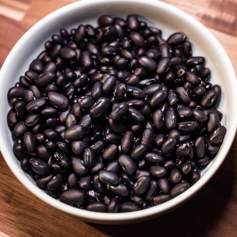 10+ semi di fagioli neri francesi Anupama, Phaseolus vulgaris, fagioli neri francesi, fagioli nani indiani immagine 9