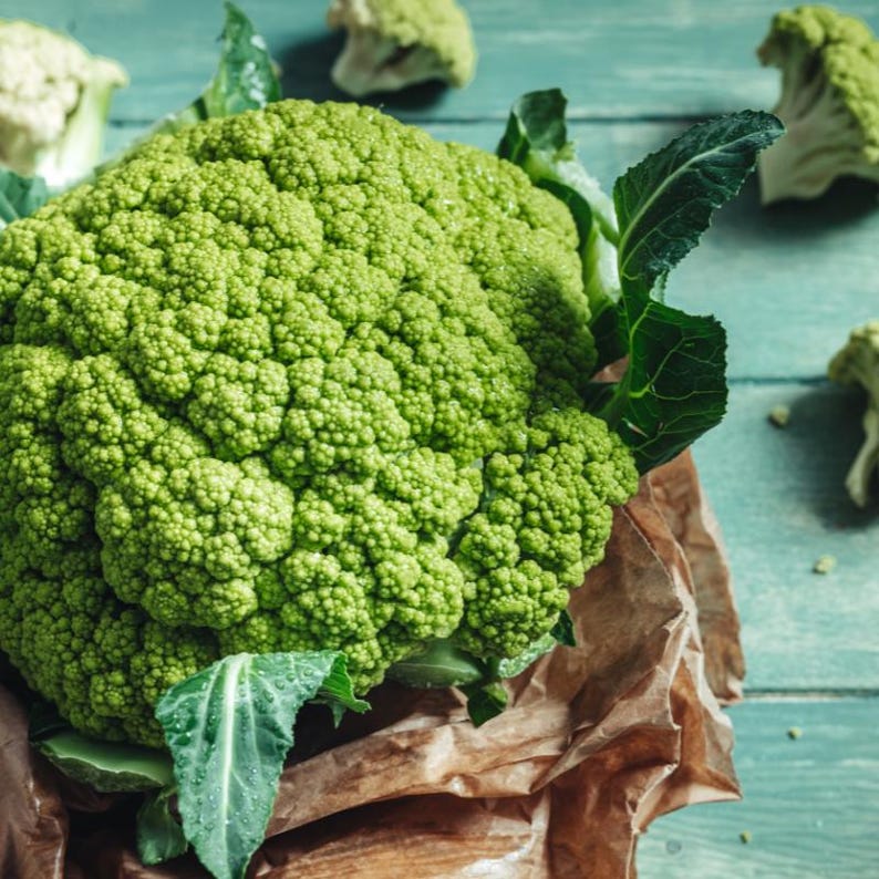 Über 100 grüne Blumenkohl-Brokkoli-Samen, Brassica oleracea, grüner Blumenkohl, Brokkoli-Gemüse Bild 5