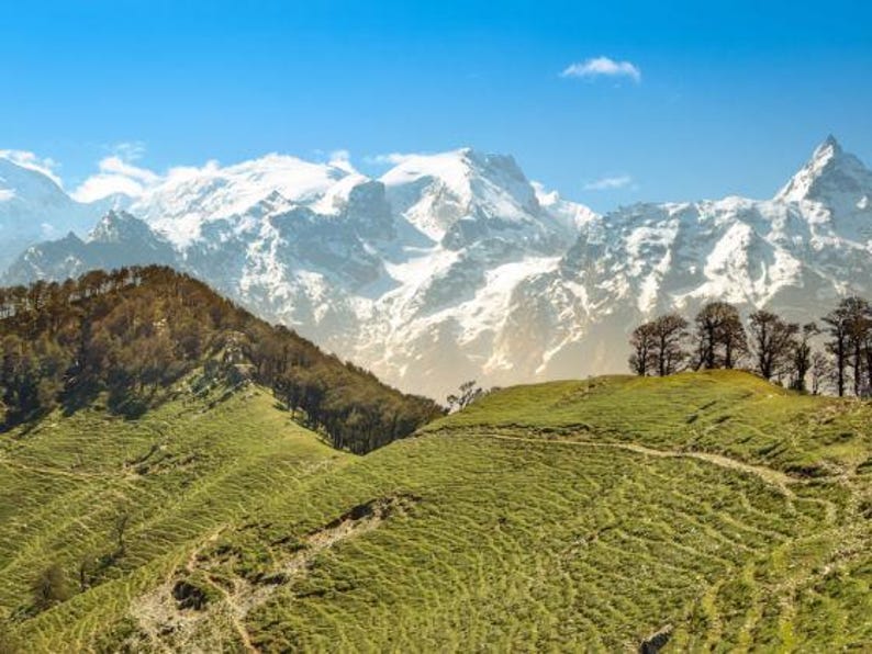 May include: A landscape view featuring rolling green hills covered in grass and scattered trees in the foreground, leading up to a massive, jagged mountain range with snow-capped peaks under a clear, bright blue sky with light clouds.