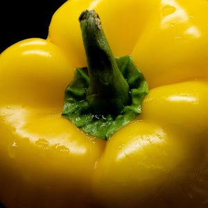 Puede incluir: Un pimiento amarillo brillante con una piel lisa y lustrosa y un tallo verde vibrante en la parte superior. La verdura presenta l&oacute;bulos redondeados y un aspecto firme y fresco, mostrando un color amarillo intenso sobre un fondo oscuro.