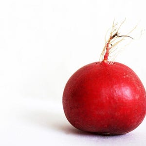 Mais de 100 sementes de rabanete redondo vermelho cereja (Raphanus sativus), rabanete redondo vermelho, rabanete de jardim. imagem 3