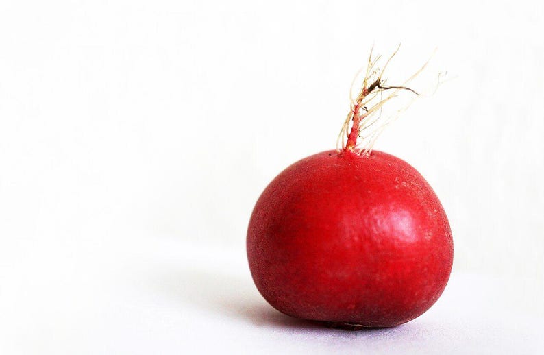 Mais de 100 sementes de rabanete redondo vermelho cereja (Raphanus sativus), rabanete redondo vermelho, rabanete de jardim. imagem 3