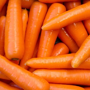 K&ouml;nnte beinhalten: Eine Ansammlung frischer, leuchtend orangefarbener Karotten, die dicht beieinander liegen. Jede Karotte hat eine glatte, spitz zulaufende Haut mit feinen horizontalen Rillen und einer abgerundeten Spitze in einem einheitlichen Orange.