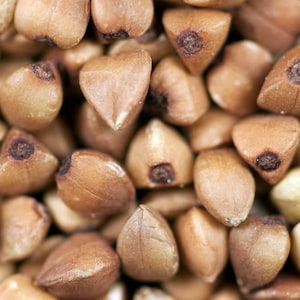 May include: A close-up view of numerous raw buckwheat groats. Each individual grain features a distinct triangular, pyramid-like shape with a smooth, light brown outer hull and a darker, textured center point at the apex of the kernel.