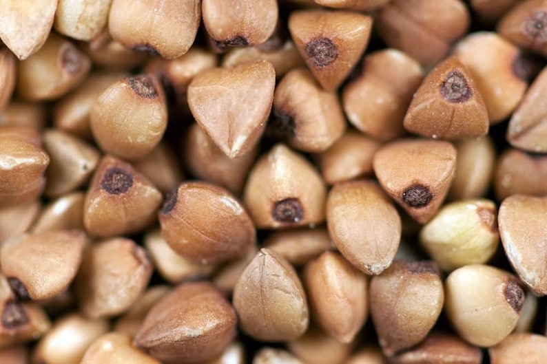 May include: A close-up view of numerous raw buckwheat groats. Each individual grain features a distinct triangular, pyramid-like shape with a smooth, light brown outer hull and a darker, textured center point at the apex of the kernel.