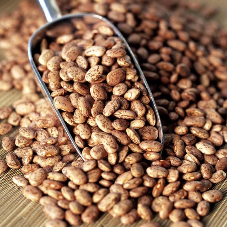 10-30 semillas de frijol pinto, Phaseolus vulgaris, frijol Chitra Rajma imagen 7