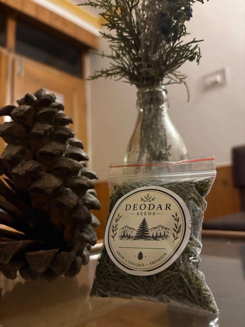 May include: A clear plastic resealable bag filled with green Deodar seeds, featuring a circular white label with black text reading DEODAR SEEDS, GROW COLLECT PRESERVE, and a mountain graphic, positioned next to a large brown pinecone.