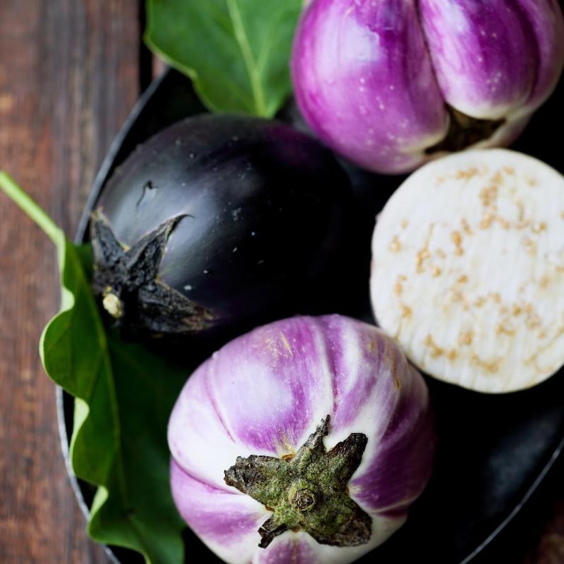 Más de 300 semillas de berenjena redonda morada, Solanum melongena, berenjena redonda morada, berenjena imagen 2