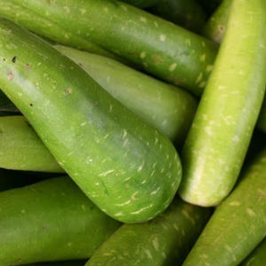 10+ Flaschenkürbis-Samen (Ramdev), Lagenaria siceraria, Kürbisse, Flaschenkürbisse und Melonen Bild 6