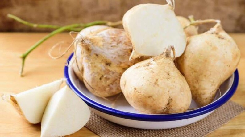 Pu&ograve; includere: Una ciotola bianca con bordo blu contenente diverse radici di jicama intere e una radice di jicama tagliata. Le radici hanno una buccia sottile color marrone chiaro e una forma arrotondata. Due fette triangolari di jicama bianca sono poste accanto.