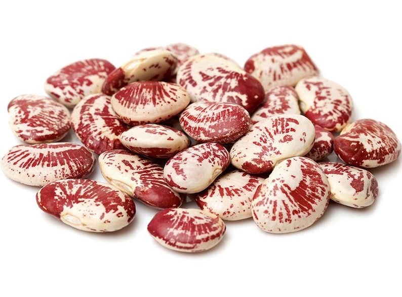 Pu&ograve; includere: Un mucchio di fagioli di Lima essiccati, ognuno caratterizzato da una forma ovale liscia con una base color crema e irregolari motivi maculati rosso scuro sulla superficie. I fagioli sono disposti in un gruppo sparso di varie dimensioni.