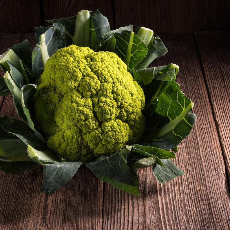 Über 100 grüne Blumenkohl-Brokkoli-Samen, Brassica oleracea, grüner Blumenkohl, Brokkoli-Gemüse Bild 3