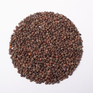Puede incluir: Una disposici&oacute;n circular de numerosas semillas peque&ntilde;as, secas y de color marr&oacute;n oscuro. Cada semilla tiene una superficie texturizada e irregular con tonos variados, desde el bronceado claro hasta el chocolate profundo, creando una colecci&oacute;n densa.