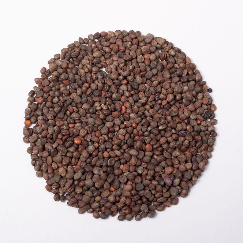 Puede incluir: Una disposici&oacute;n circular de numerosas semillas peque&ntilde;as, secas y de color marr&oacute;n oscuro. Cada semilla tiene una superficie texturizada e irregular con tonos variados, desde el bronceado claro hasta el chocolate profundo, creando una colecci&oacute;n densa.