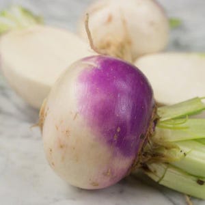 May include: A fresh turnip with a smooth, round shape featuring a vibrant purple top that transitions into a creamy white base. The vegetable has light green stems attached at the crown, and it is positioned alongside other sliced turnip pieces.