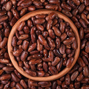 Bunte Gartenbohne – 10–30 Samen – Phaseolus vulgaris – Joshimath Rajma