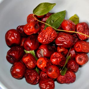 5-10 Samen des Jujube-Baumes (Ziziphus jujuba, Chinesische Dattel, Rote Dattelsamen, Jujube-Fruchtbaum) Bild 8