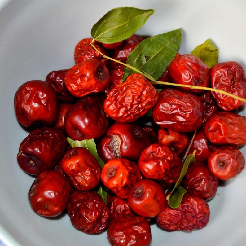 5-10 Samen des Jujube-Baumes (Ziziphus jujuba, Chinesische Dattel, Rote Dattelsamen, Jujube-Fruchtbaum) Bild 8