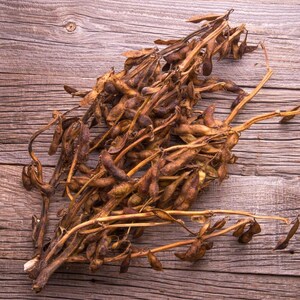 Más de 10 semillas de soja Kala Bhatt, Glycine max, soja negra del Himalaya, Pahari Bhatt imagen 7