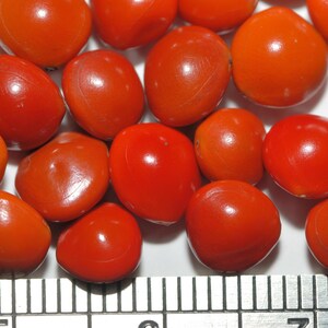 Puede incluir: Una colecci&oacute;n de semillas lisas, redondas y de color rojo brillante dispuestas juntas. Una regla met&aacute;lica es visible en el borde inferior del marco, mostrando marcas en cent&iacute;metros para proporcionar una escala clara de los peque&ntilde;os objetos rojos, uniformes y brillantes.