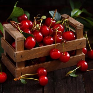 Más de 20 semillas de cereza dulce del Himalaya, Prunus avium, cerezo silvestre. imagen 6