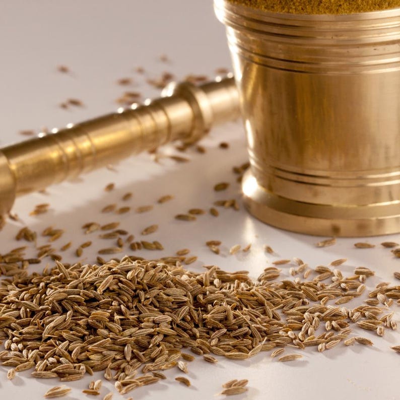 500+ Cumin Seeds, Cuminum cyminum, Jeera Spice Herb image 3
