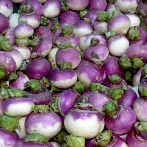 300+ Purple Top White Globe Turnip Seeds, Brassica rapa, White Root Vegetable image 3