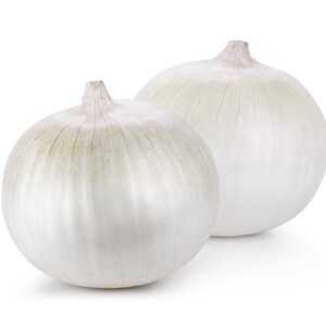 May include: Two whole white onions with smooth, papery skin and visible vertical striations. Each onion features a small, dried stem at the top, showcasing a rounded, bulbous shape with a pale, off-white colour throughout the entire surface.