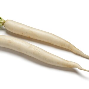 Op de afbeelding: Twee lange, cilindervormige witte daikon-radijzen met een gladde, bleke schil en kleine, lichtgroene blaadjes aan de stengeluiteinden. De groenten liggen diagonaal en lopen uit in dunne, puntige wortels aan de onderkant op een witte achtergrond.