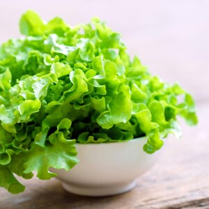 K&ouml;nnte beinhalten: Ein frischer Kopf gr&uuml;ner Blattsalat ist hoch in einer einfachen wei&szlig;en Keramikschale aufget&uuml;rmt. Die Salatbl&auml;tter sind kraus, gewellt und leuchtend gr&uuml;n, wodurch ein dichter, strukturierter Haufen in dem abgerundeten wei&szlig;en Gef&auml;&szlig; entsteht.