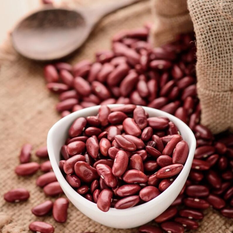 10-30 semillas de frijol rajma rojo, Phaseolus vulgaris, verdura de frijol. imagen 7