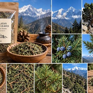 May include: A 20 g pouch of Himalayan Juniper Leaves with a label featuring mountain graphics, alongside a wooden bowl filled with dried needles, images of juniper trees, blue berries, and snow-capped mountain landscapes in a collage.