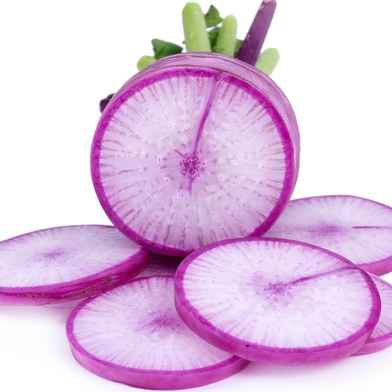 Puede incluir: Un r&aacute;bano daikon morado en rodajas que muestra un anillo exterior magenta vibrante y un interior blanco p&aacute;lido y transl&uacute;cido con un patr&oacute;n radial. La verdura presenta una secci&oacute;n transversal circular gruesa y varias rodajas redondas m&aacute;s finas.