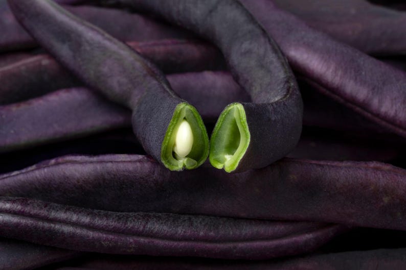May include: A pile of deep purple beans with a smooth, elongated shape. One bean is broken open in the centre, revealing a light green interior and a single, small, pale white seed nestled inside the pod, contrasting with the dark outer skin.