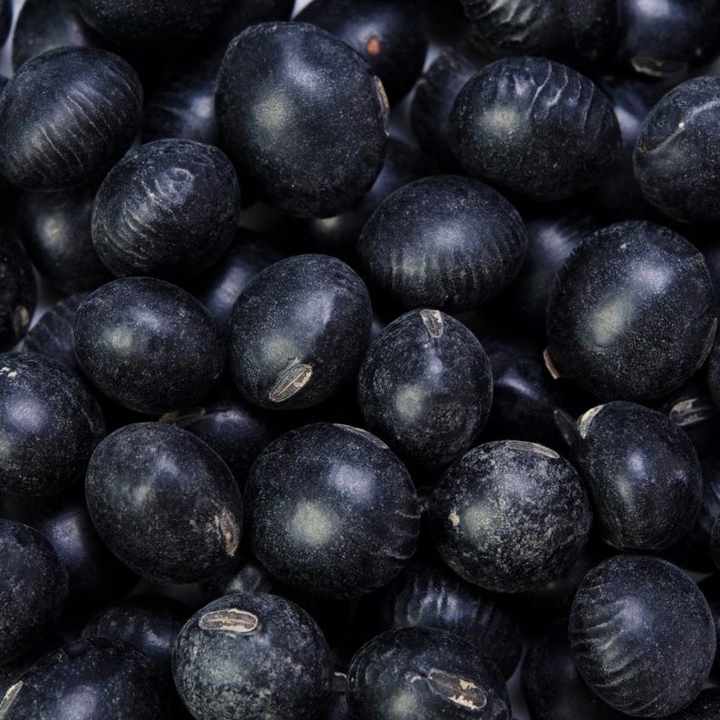 Más de 10 semillas de soja Kala Bhatt, Glycine max, soja negra del Himalaya, Pahari Bhatt imagen 3