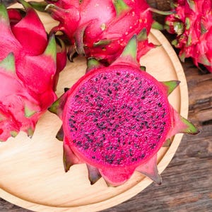 50-100 Red Dragon Fruit Seeds, Red Flesh Pitaya, Hylocereus polyrhizus, Exotic Tropical Cactus image 10
