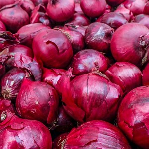 Oltre 50 semi di cipolla rossa selezionati, Allium cepa, cipolla a bulbo rosso, cipolla viola immagine 9