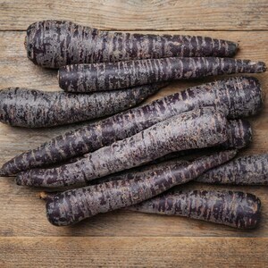 Puede incluir: Una colecci&oacute;n de zanahorias moradas crudas con piel oscura y texturizada, de forma c&oacute;nica. Las zanahorias est&aacute;n dispuestas en un mont&oacute;n suelto, mostrando tonos violetas profundos y negruzcos en sus superficies, con estr&iacute;as naturales visibles.