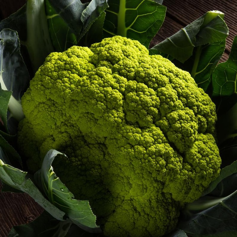 Über 100 grüne Blumenkohl-Brokkoli-Samen, Brassica oleracea, grüner Blumenkohl, Brokkoli-Gemüse Bild 2