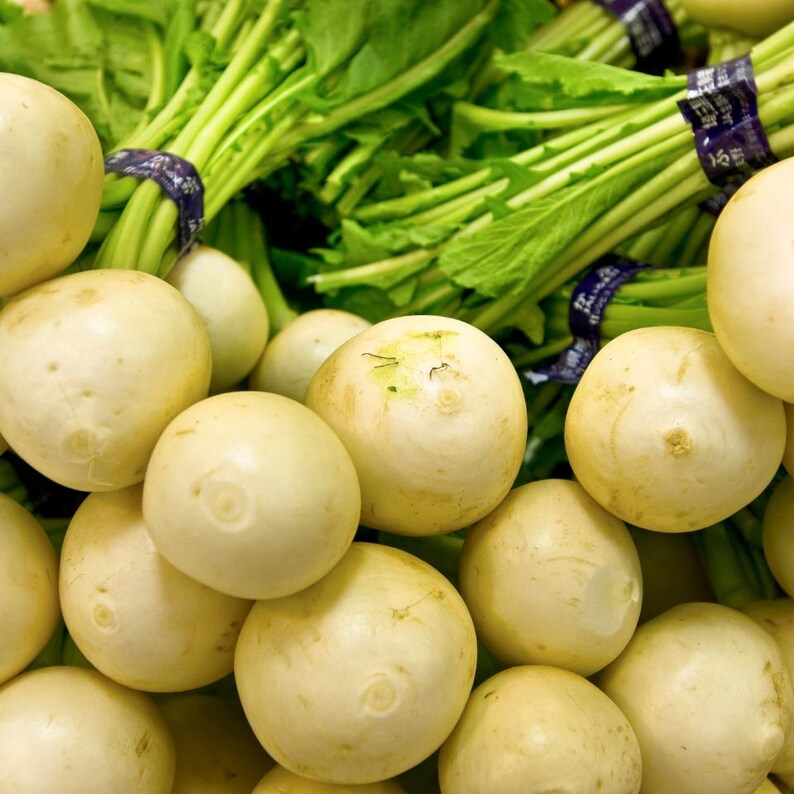 Meer dan 100 zaden van de gouden bolraap (Brassica rapa), een gele wortelgroente. afbeelding 5