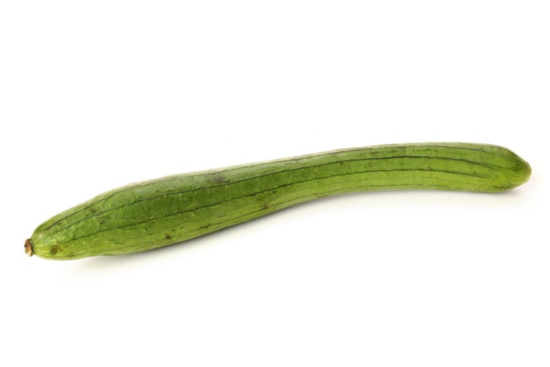 Op de afbeelding: Een lange, slanke luffa-kalebas met een levendige groene schil met duidelijke verticale ribbels die over de hele lengte van de groente lopen. Het oppervlak heeft een licht getextureerd uiterlijk met subtiele kleurvariaties en loopt taps toe naar een afgerond uiteinde.
