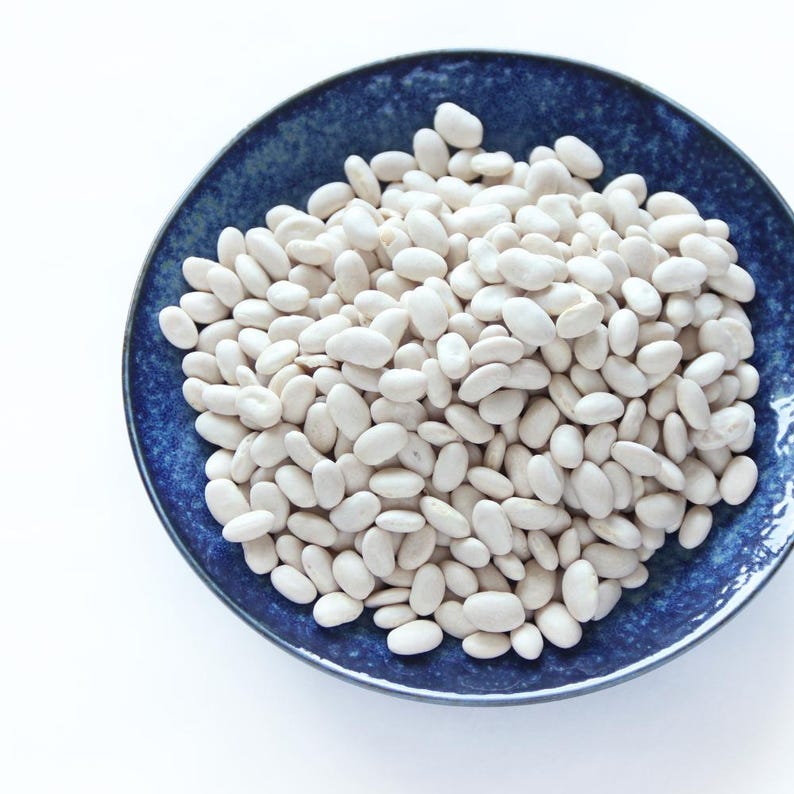 10+ semi di fagioli Rajma bianchi, Phaseolus vulgaris, fagioli rossi bianchi, Rajma indiano immagine 2