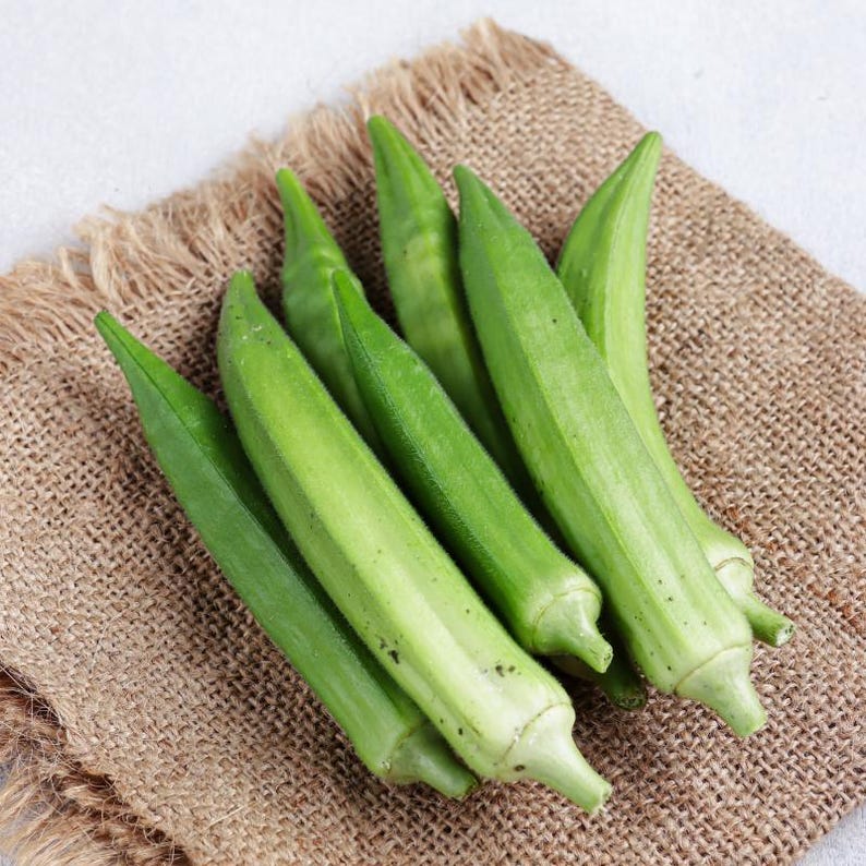 15+ Durgesh Nandani Okra Seeds, Abelmoschus esculentus, Bhindi, Indian Lady Finger image 10