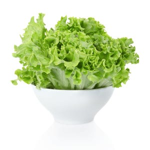 K&ouml;nnte beinhalten: Ein Kopf frischer, leuchtend gr&uuml;ner Blattsalat mit gewellten, krausen R&auml;ndern ist in einer schlichten, glatten wei&szlig;en Keramikschale angerichtet. Die Salatbl&auml;tter sind dicht gedr&auml;ngt und zeigen verschiedene helle und mittlere Gr&uuml;nt&ouml;ne.
