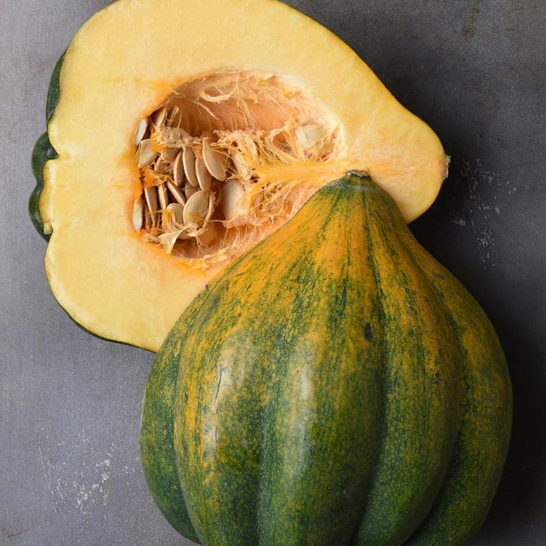 15+ Chappan Kaddu frön, Cucurbita pepo, indisk zucchini, sommarsquash bild 5