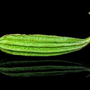 Op de afbeelding: Een enkele ribbelkalebas, ook bekend als luffa acutangula, met een levendig groene schil en prominente longitudinale ribbels die langs het langwerpige, licht gebogen lichaam lopen en eindigen in een dunne steel aan &eacute;&eacute;n uiteinde.