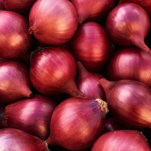 Pu&ograve; includere: Una raccolta di cipolle rosse intere con bucce lisce e lucide di colore viola intenso e magenta. Ogni cipolla presenta una forma bulbosa arrotondata con un collo affusolato sulla parte superiore, mostrando variazioni naturali di colore.