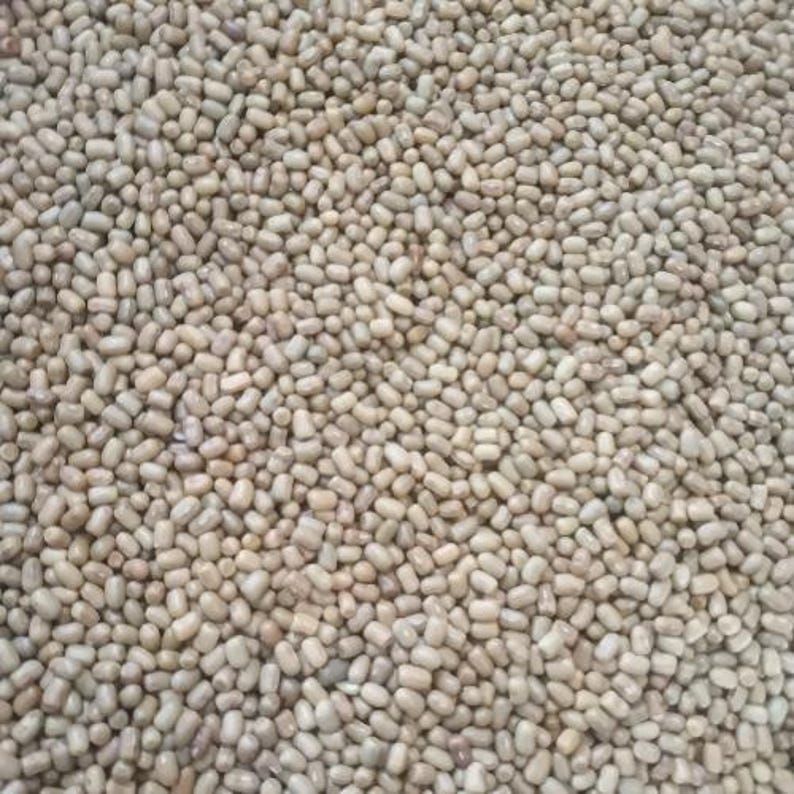 Puede incluir: Una gran colecci&oacute;n de peque&ntilde;as legumbres ovaladas de color beige claro, compactadas estrechamente. Cada grano presenta una superficie lisa y mate con una sutil variaci&oacute;n de tono, que va desde el crema p&aacute;lido hasta el bronceado suave.