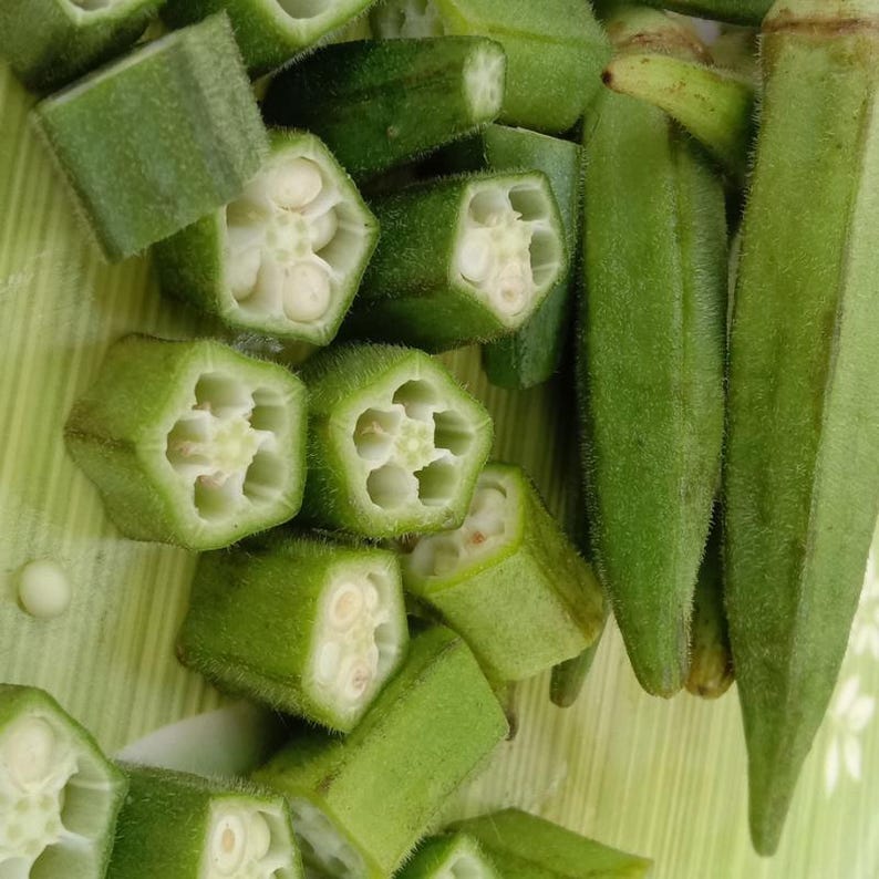 15+ Durgesh Nandani Okra Seeds, Abelmoschus esculentus, Bhindi, Indian Lady Finger image 1